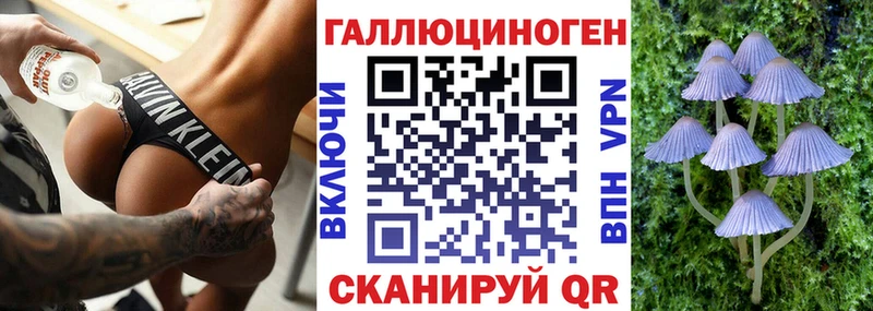 Купить где  Южноуральск  Галлюциногенные грибы мицелий 
